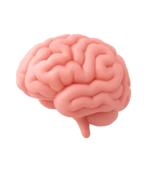 Icono cerebro
